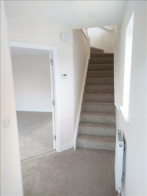 New Downstairs Hallway