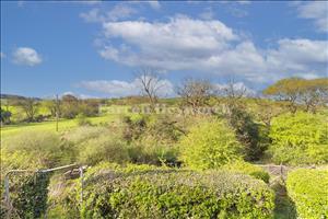 Countryside Views